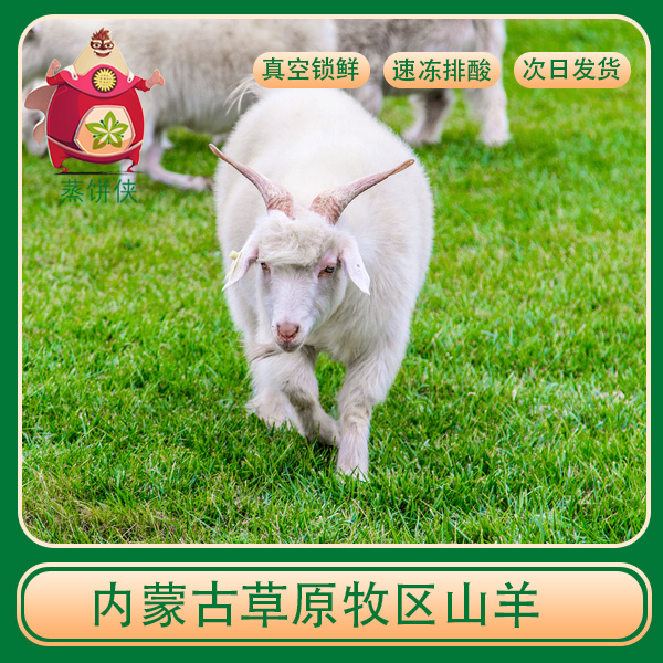 内蒙古牧区山羊零饲料放养  生鲜肉