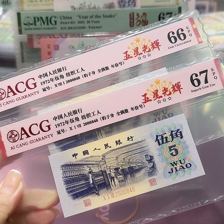 塑料2000848。。。全偶豹子身年份号