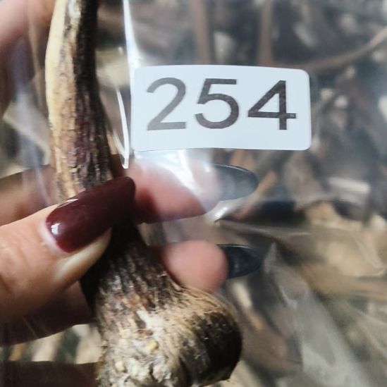 菜***羊鹿角鹿角鹿角鹿角鹿角鹿角