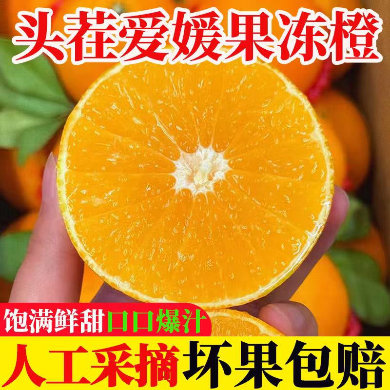 四川爱媛果冻橙皮薄肉嫩香甜多汁新鲜应季水果4.5斤东西省包邮