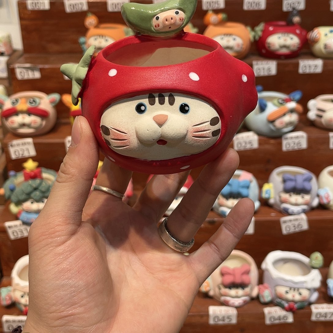 红陶星****里马上就要开始发财啦