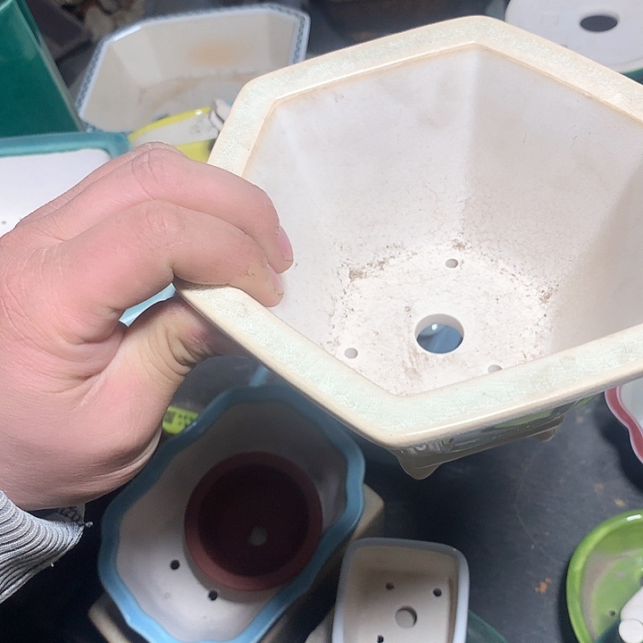 紫砂我要努力做自己喜欢的事情