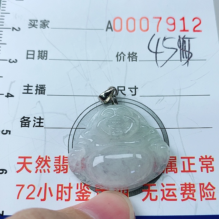 翡翠颈饰银S925镶嵌翡翠