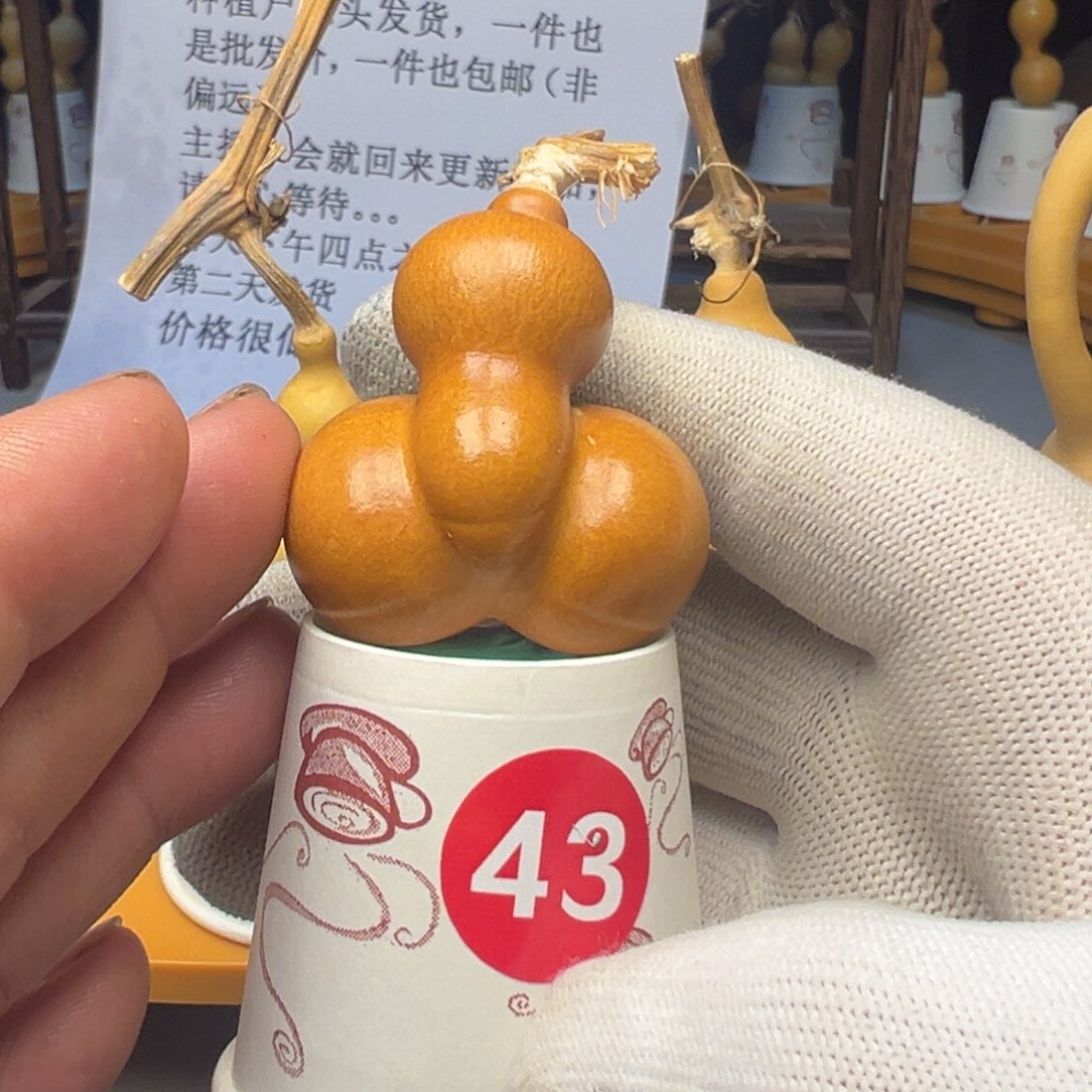 闪电购自助下单编号43