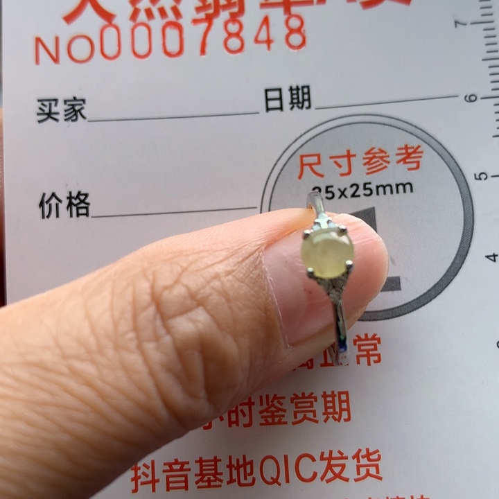 翡翠颈饰银S925镶嵌天然翡翠