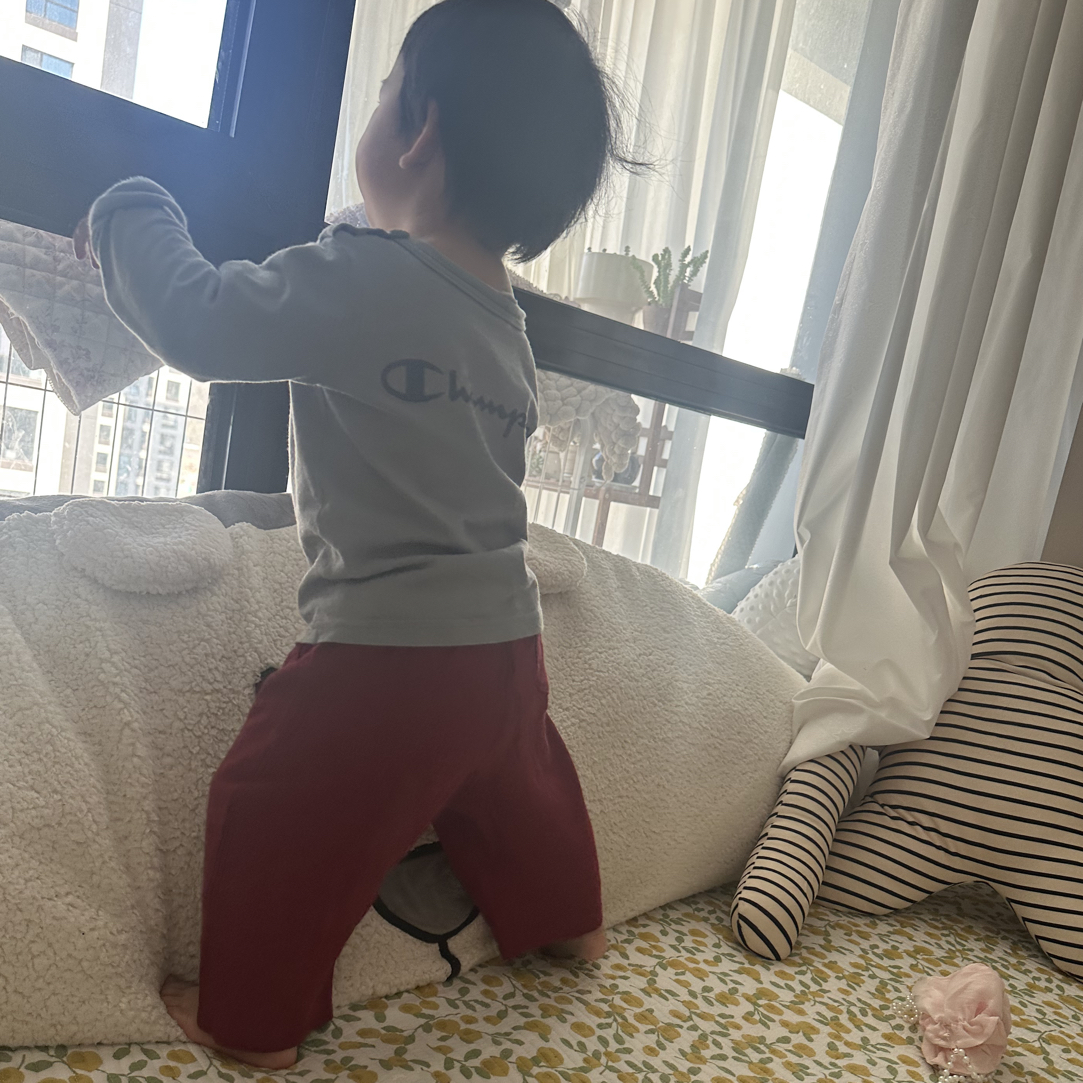 【金崽童装】袜子专用链接
