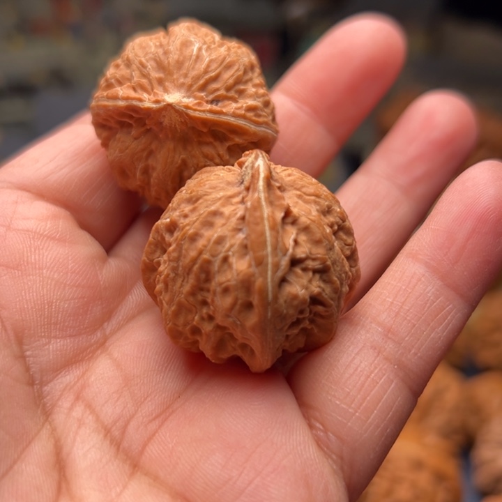 钞***生核桃30大霸王龙打霸王龙