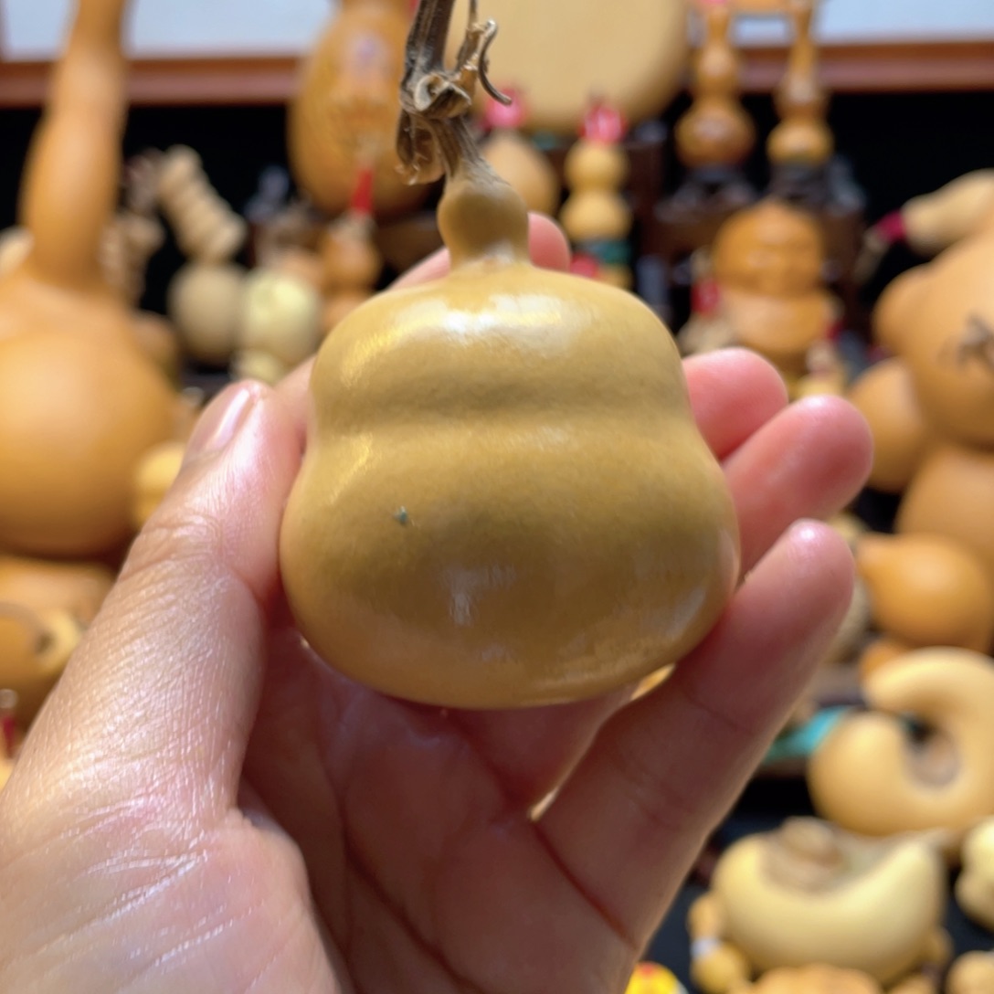 小**`大自然的秘密第十一章