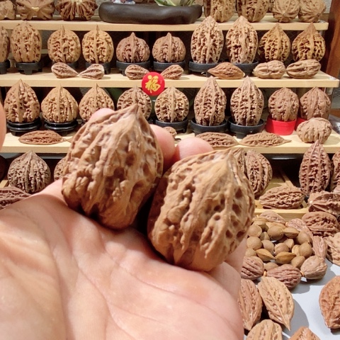 文玩核桃把件楸蛤蟆