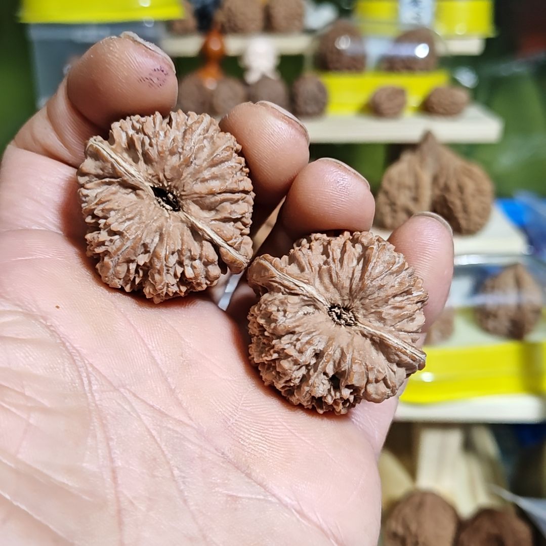 38加尺，137狮子头