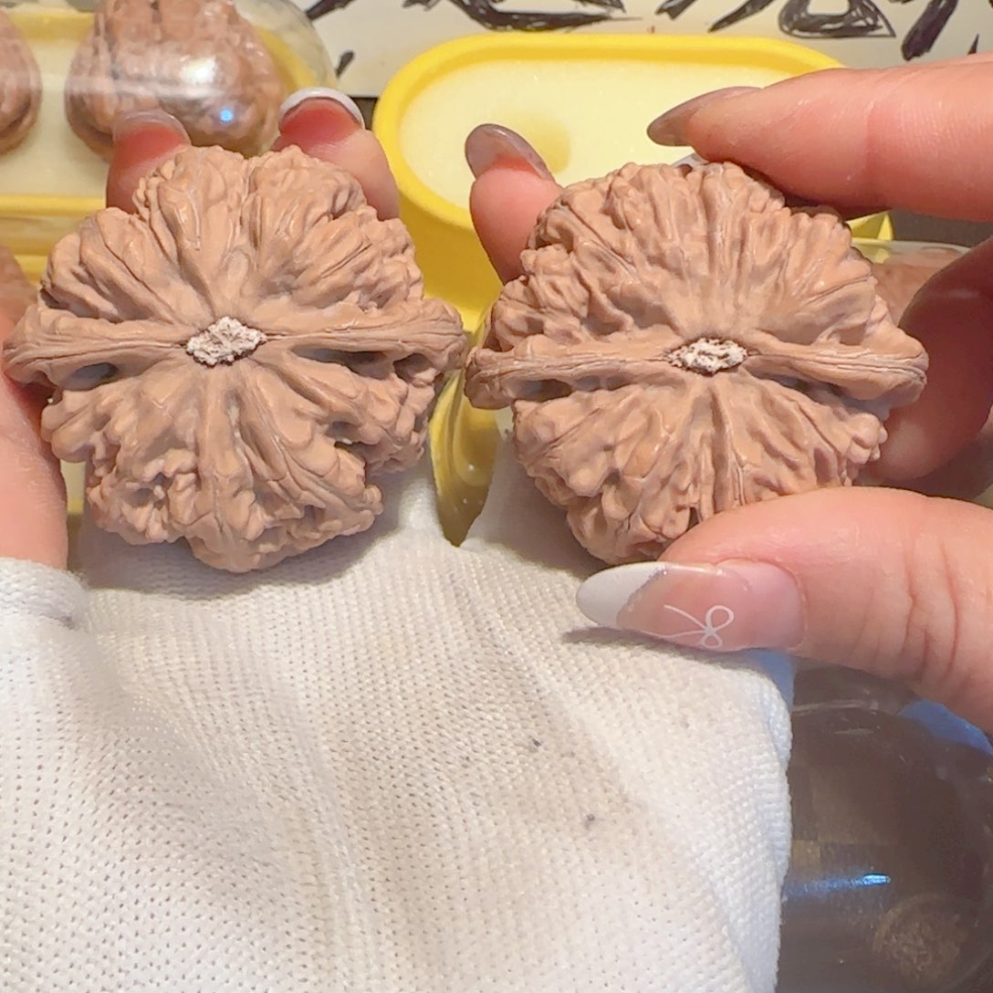 桃核吊坠?****生50全品大粗筋