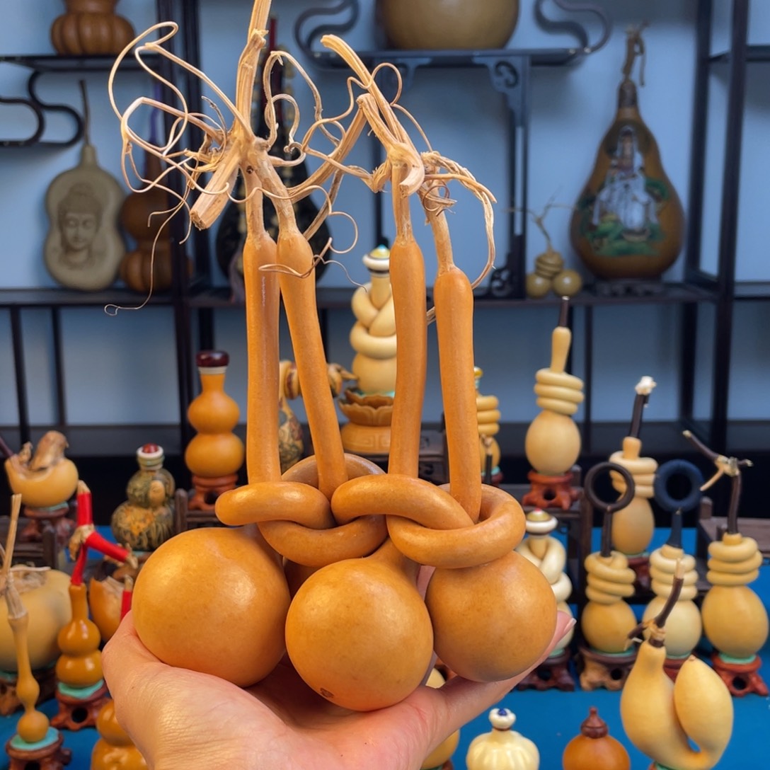 —***生大叶紫檀（黑酸枝木类）