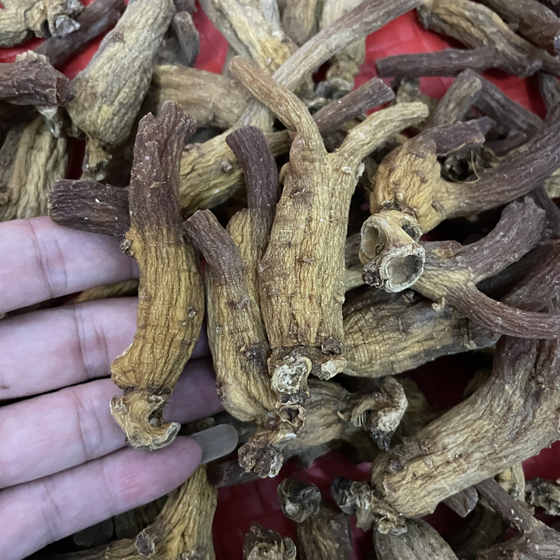 【郑东升】 高丽参