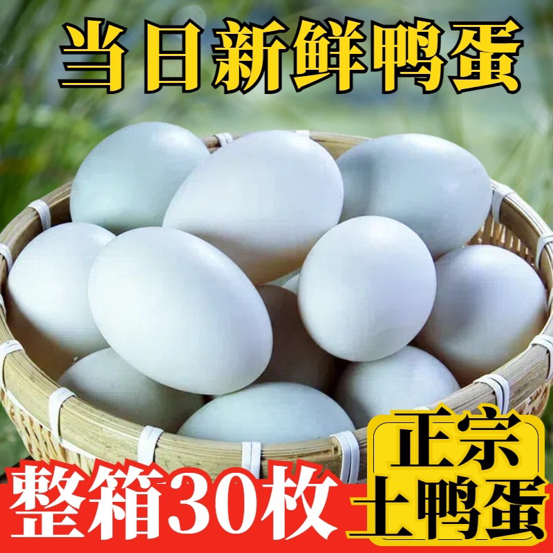 马踏湖散养鲜鸭蛋京东包邮