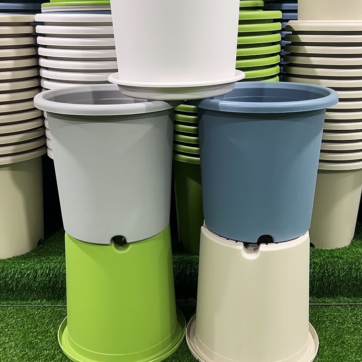 用***8特价8号四季盆口39高37白色无托5只