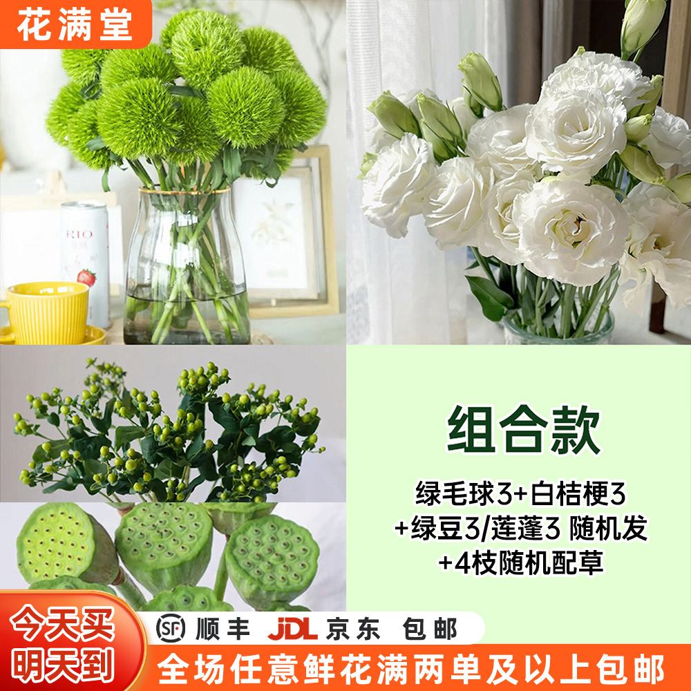 抢【次日达·青翠满目】夏日鲜切花·全场两单鲜花顺丰包邮·基地直发·批发·生活鲜花·鲜花次日达