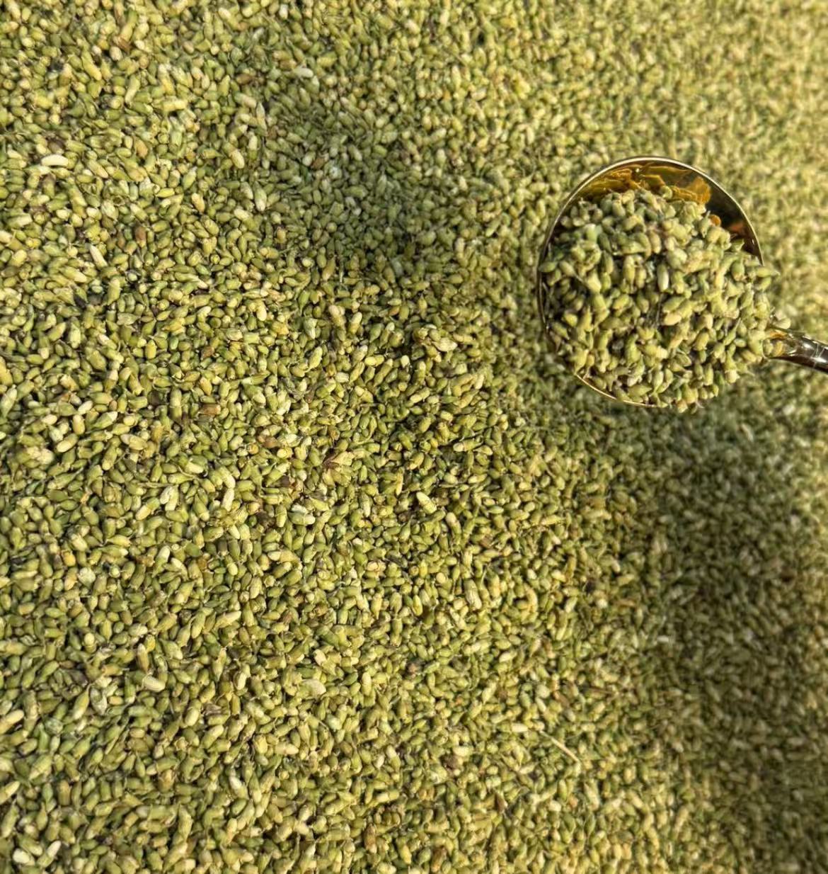 【小强陈皮】云南产区 珠子参蕊 益身百搭茶  250g 拍一发三