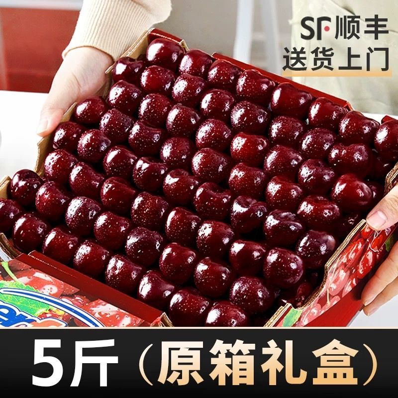 【5斤原箱】KD智利车厘子拉宾斯海运J-5J 孕妈水果 内附果径卡
