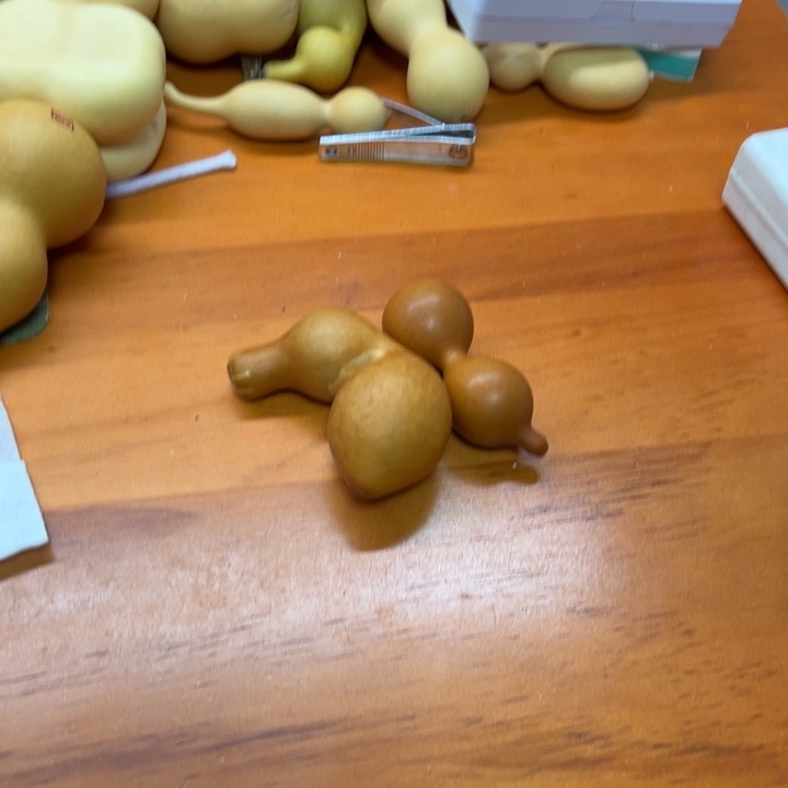 老红皮蚂蚁金服的