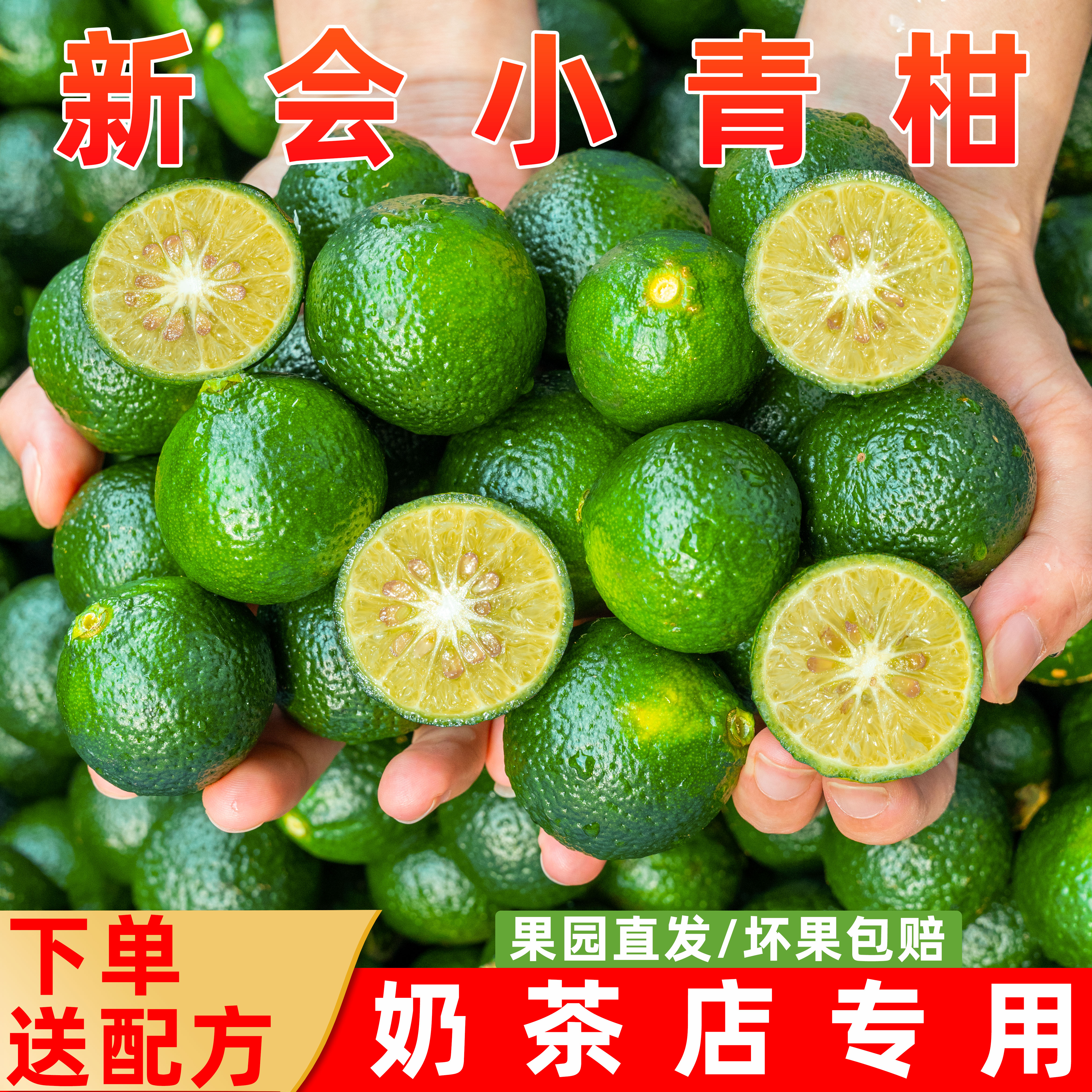 【下单送配方】正宗新会小青柑茶饮店小青柑鲜露鲜果茶柠檬茶专用