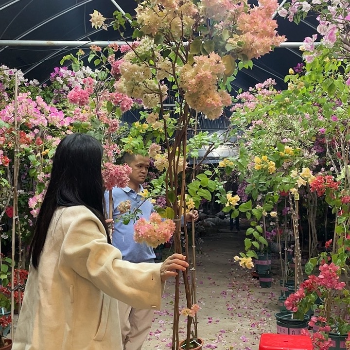 完全开放88888888