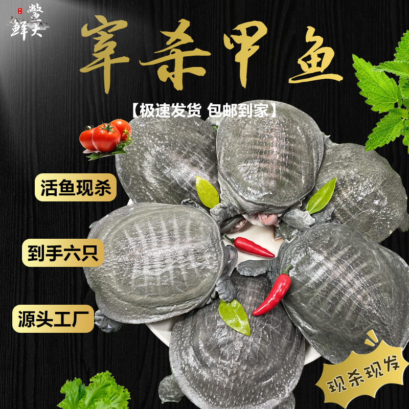 【6只装】鲜活宰杀甲鱼去皮新鲜放养生态鳖王八肉真空冷链运输包邮