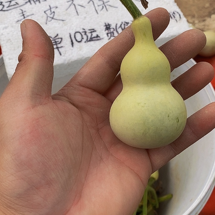 小*郑哈哈哈哈哈哈哈哈哈哈哈