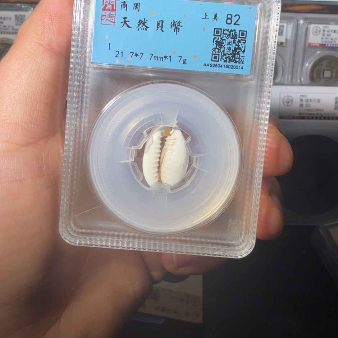 铜币山水4444444444