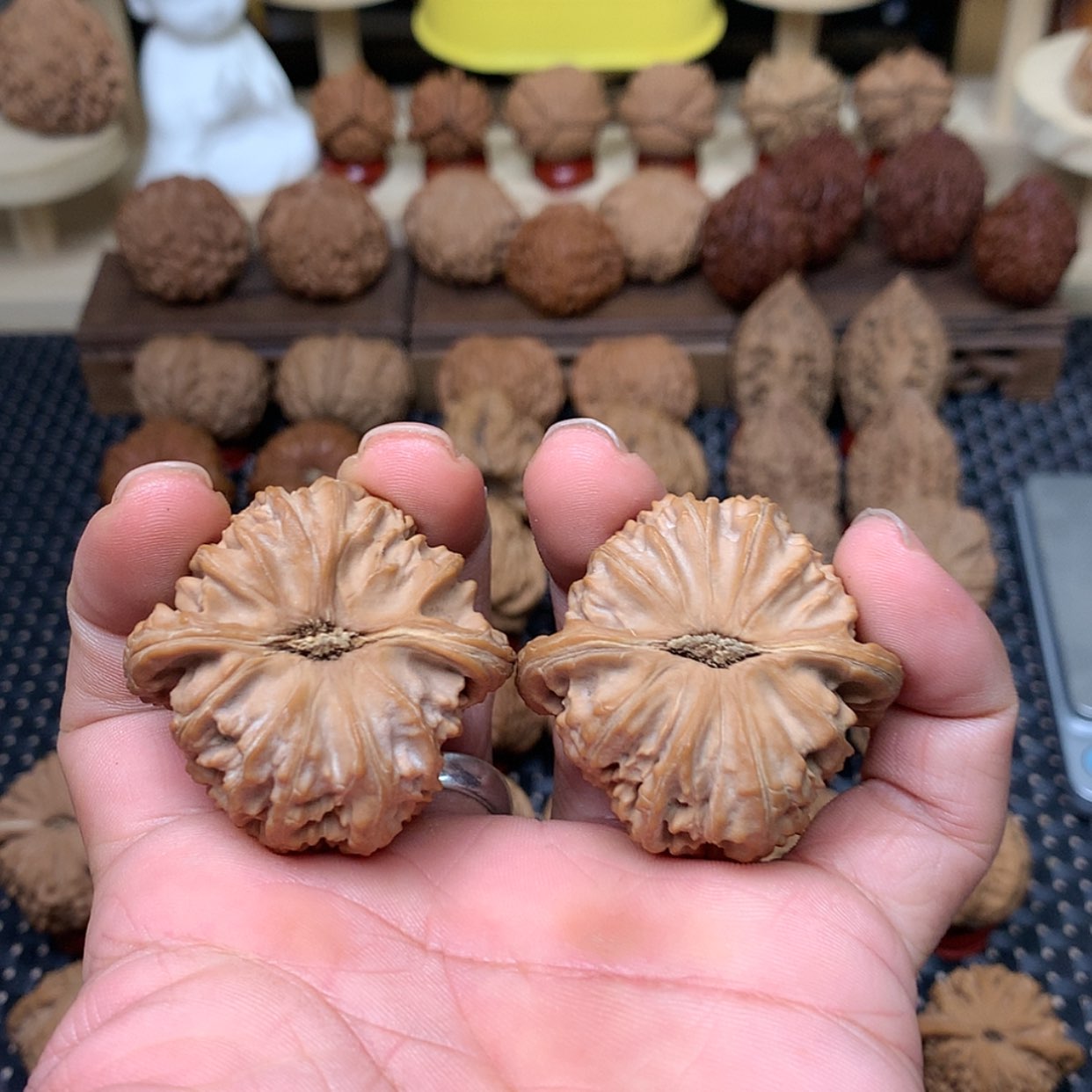 【闪购商品】文玩核桃把件爱****伙全品三角白狮子头43