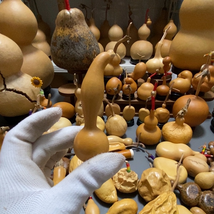 囍*?葫芦村等自然保护地带进行