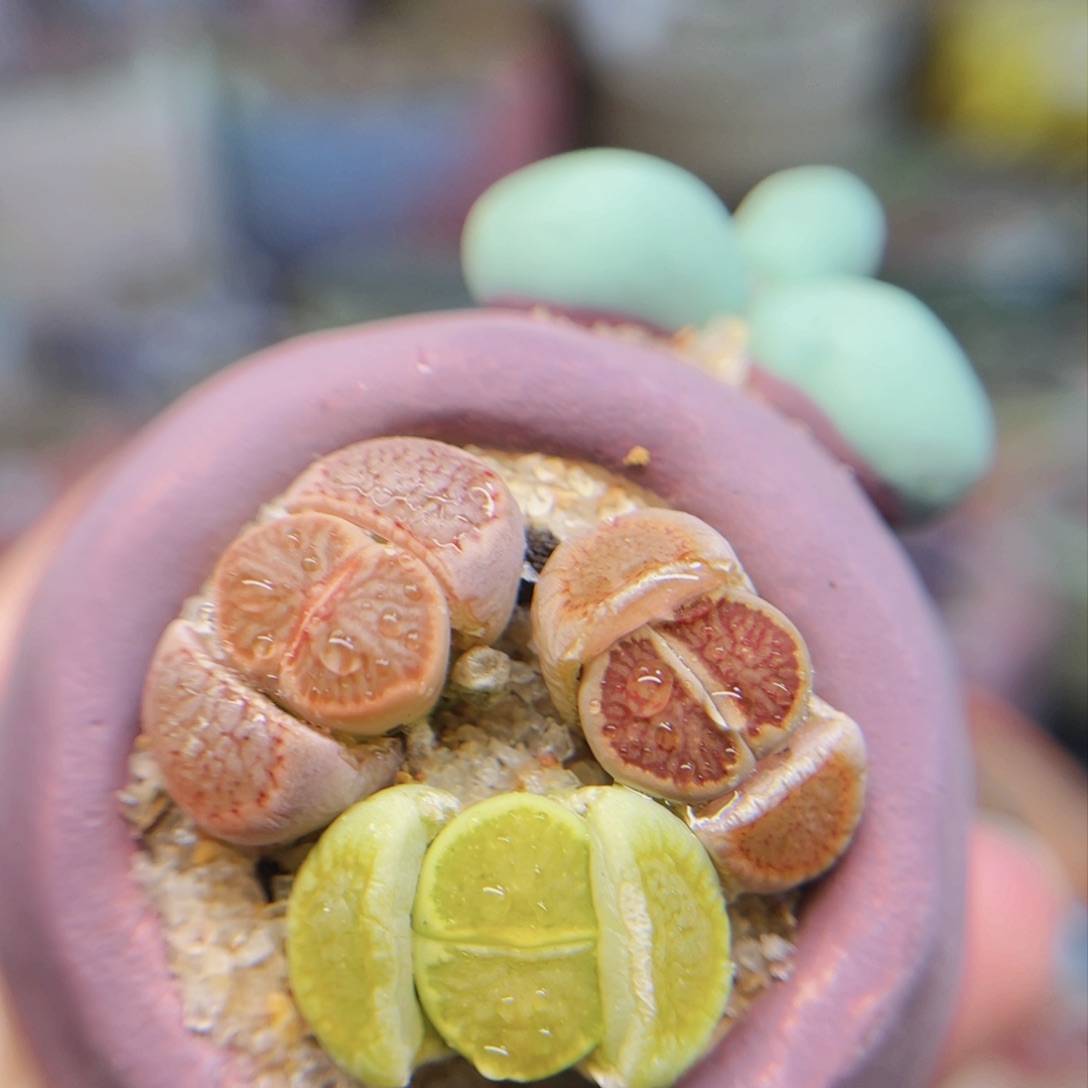 011。88888880000000000000000