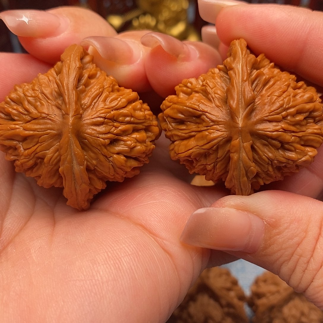 文玩核桃把件40全品毕业四座楼