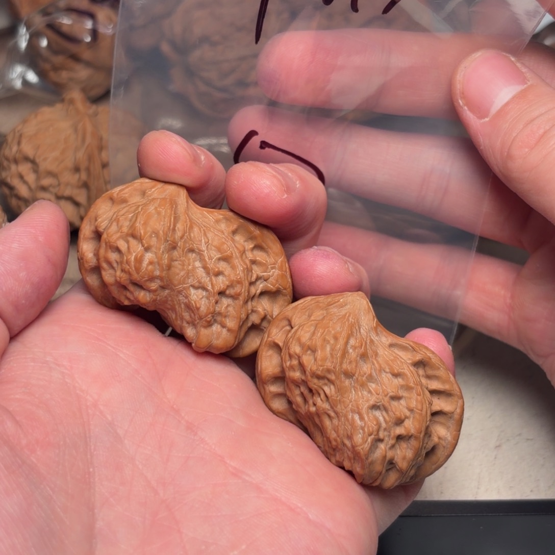 *****文玩核桃把件45异性50号