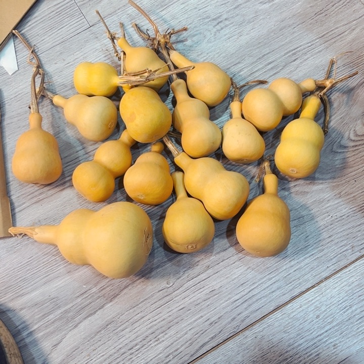 船*?文玩葫芦八宝葫芦