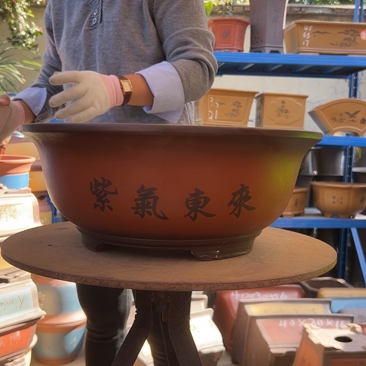 30小红花盆花盆花盆