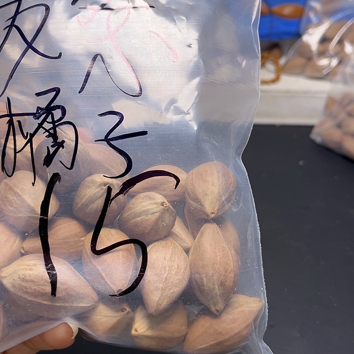 发***子橄榄核手串/手链111
