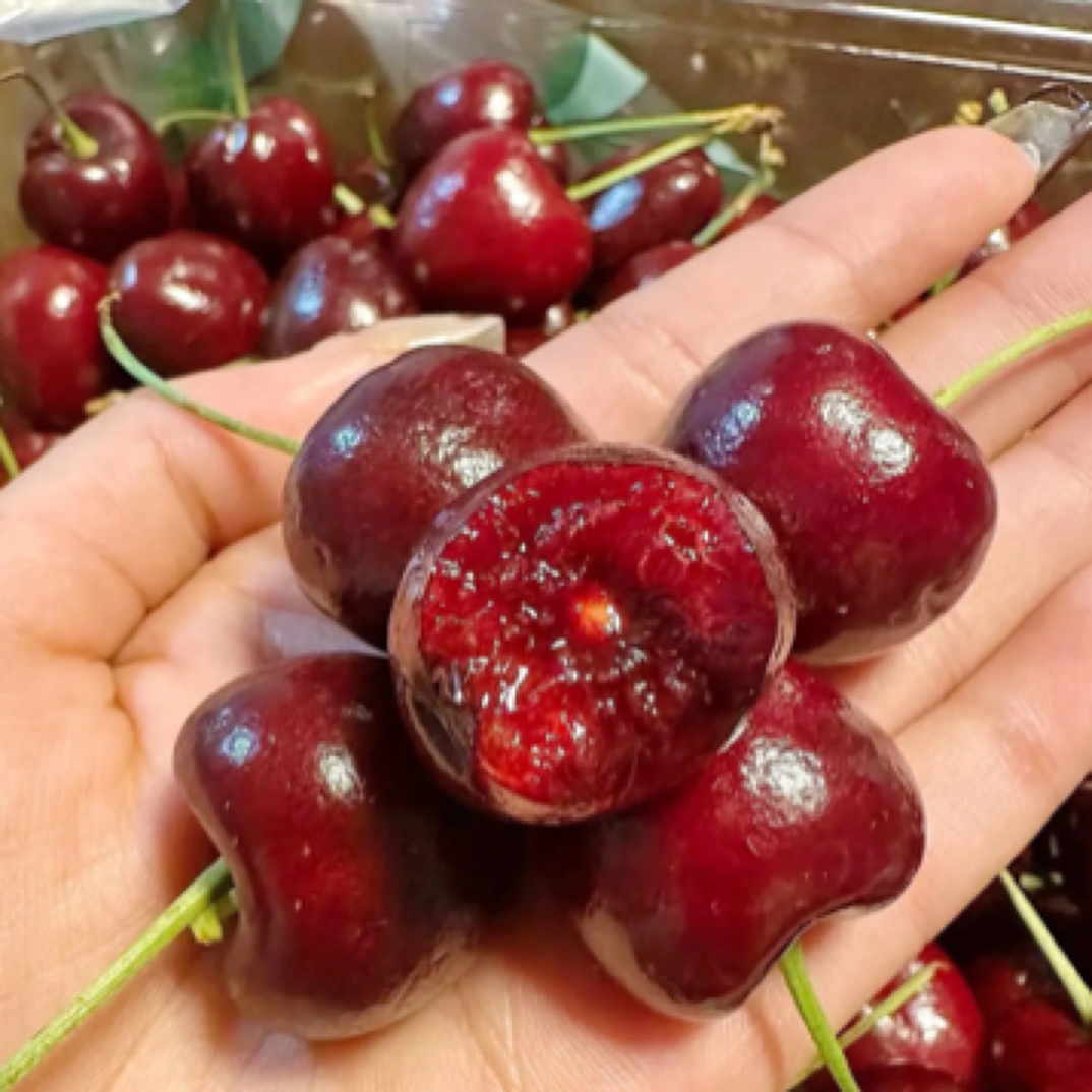 爆款车厘子JD车厘子五斤109