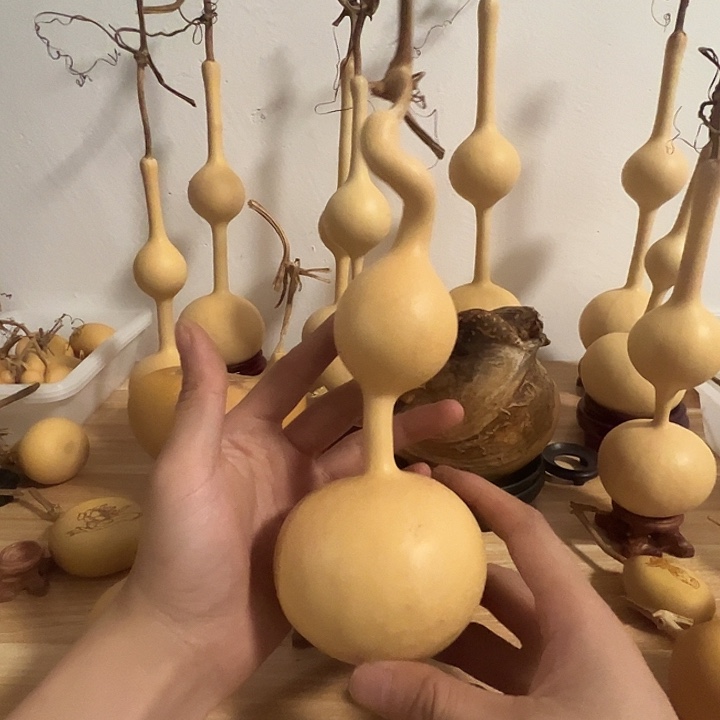 匠***梦三庭文玩葫芦异性葫芦摆件388