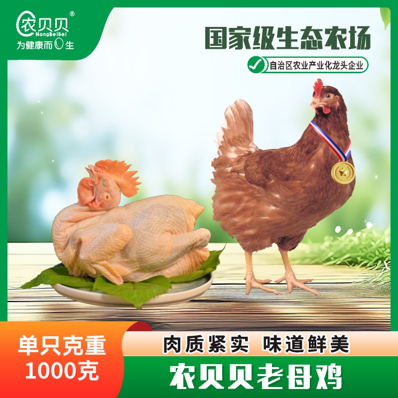 【农贝贝】老母鸡1只/两只装，单只净重1000g