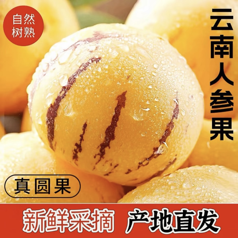 【头茬鲜果】云南石林人参果树上自然成熟黄果新鲜多汁软糯清甜低糖