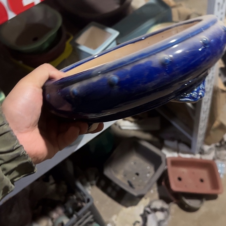 一定有好心情啊打完之后心情好好呀看一