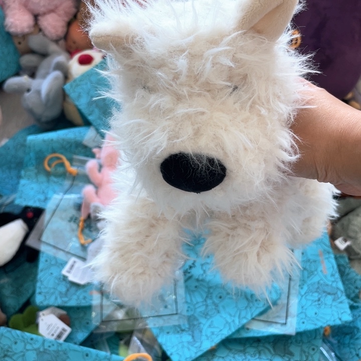 大西高地帶袋子大西高地