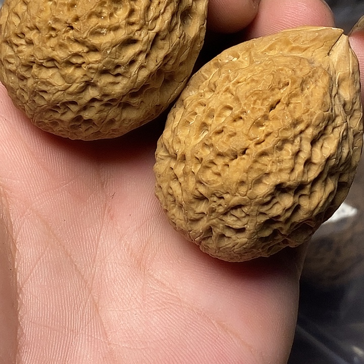 把件文玩核桃云南铁核桃B27