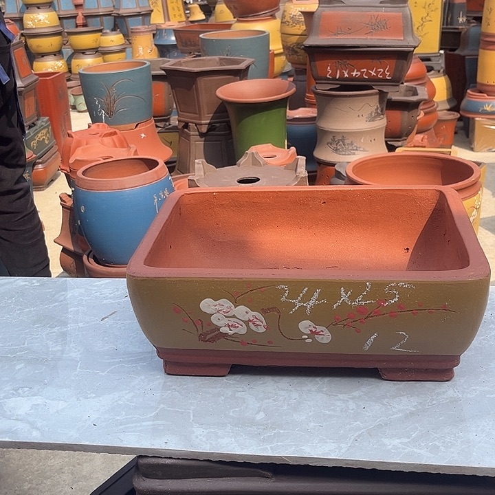 紫砂紫砂花盆和一条