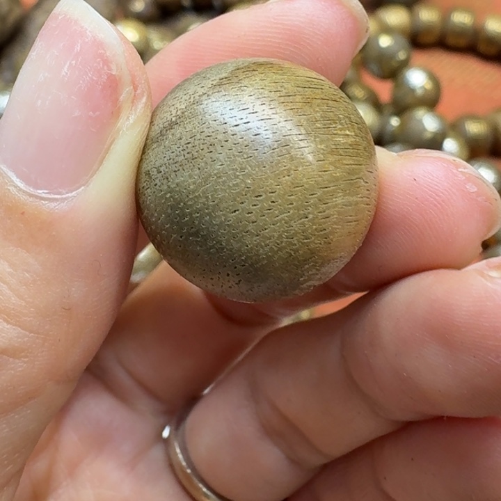 大叶紫檀（黑酸枝木类）