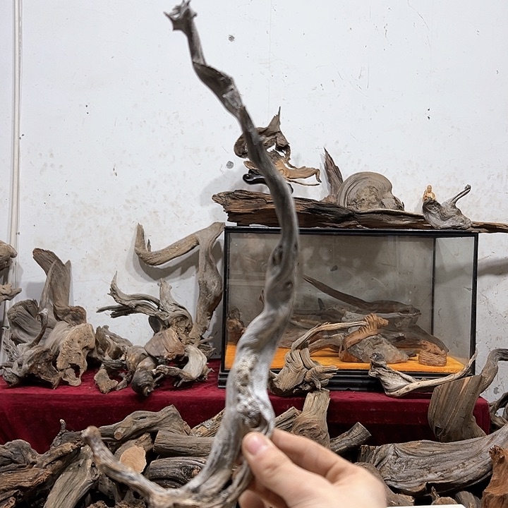 柏木用****6我们的生活也是