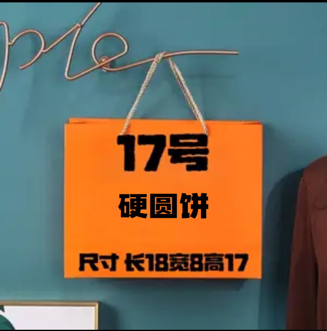 【A17号】AA 2025爆款轻奢时尚百搭潮流圆饼包 A77057-5