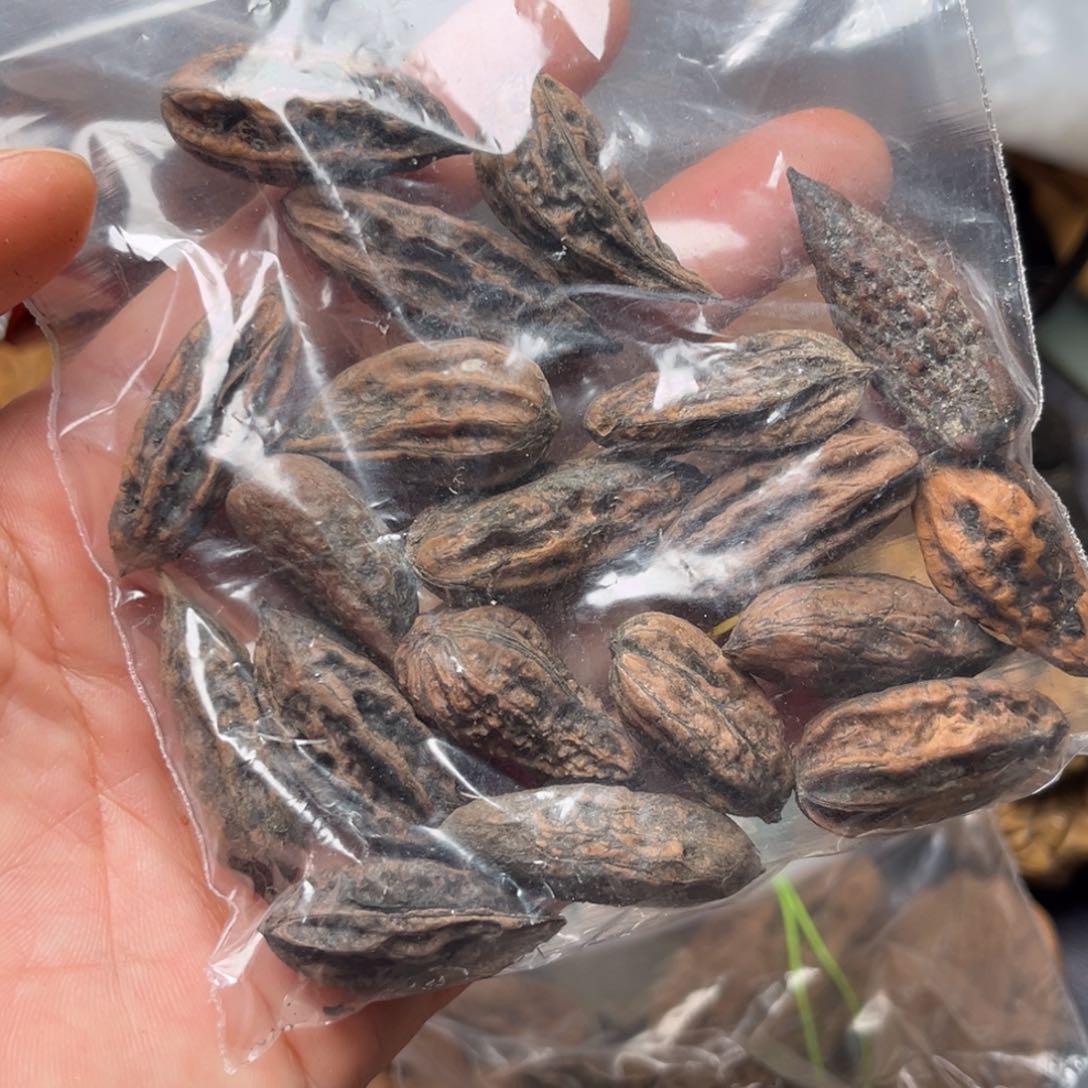 手串文玩核桃核桃100