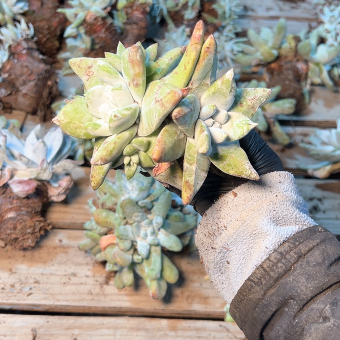 7877哈哈哈哈哈哈哈哈