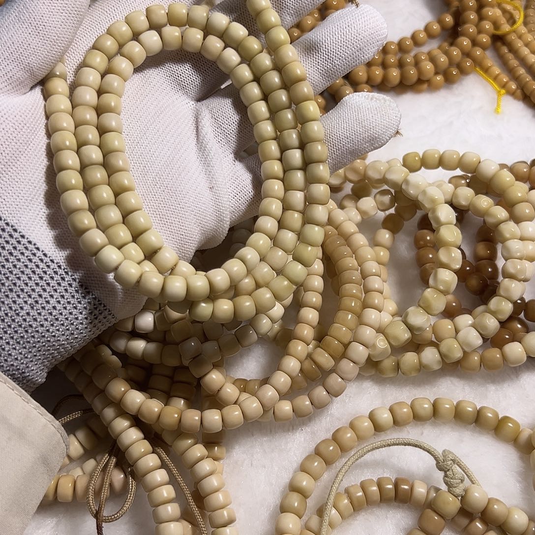 菩提籽类龙脊菩提小龙卡直切卡7